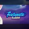 Fortunate Rabbit