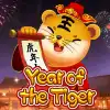 Year Of The Tiger