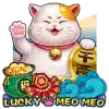 Lucky Meo Meo