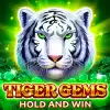 Tiger Gems-Hold and win