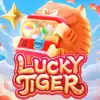 LUCKY TIGER