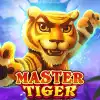 Master Tiger