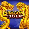 The Dragon Tiger