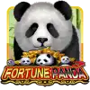 Fortune Panda